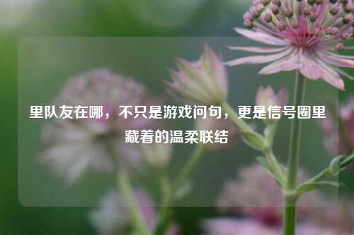 里队友在哪，不只是游戏问句，更是信号圈里藏着的温柔联结