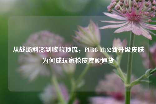 从战场利器到收藏顶流，PUBG M762新升级皮肤为何成玩家枪皮库硬通货