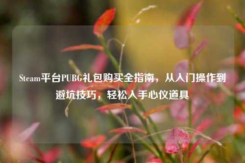 Steam平台PUBG礼包购买全指南,从入门操作到避坑技巧,轻松入手心仪道具