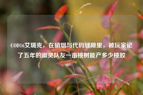 COD16艾瑞克，在硝烟与代码缝隙里，被玩家记了五年的幽灵队友一亩桃树能产多少桃胶