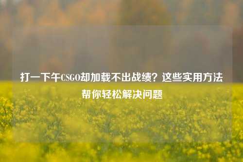 打一下午CSGO却加载不出战绩？这些实用方法帮你轻松解决问题