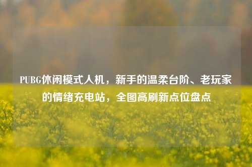 PUBG休闲模式人机,新手的温柔台阶、老玩家的情绪充电站,全图高刷新点位盘点