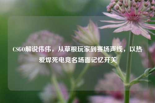 CSGO解说伟伟,从草根玩家到赛场声线,以热爱焊死电竞名场面记忆开关