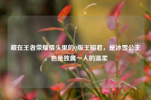 藏在王者荣耀情头里的Q版王昭君，是冰雪公主，也是独属一人的温柔