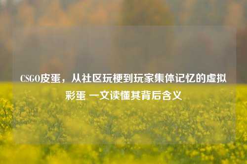 CSGO皮蛋，从社区玩梗到玩家集体记忆的虚拟彩蛋 一文读懂其背后含义