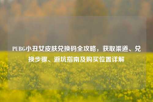 PUBG小丑女皮肤兑换码全攻略,获取渠道、兑换步骤、避坑指南及购买位置详解