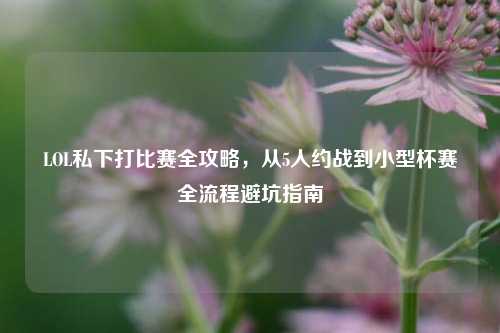 LOL私下打比赛全攻略,从5人约战到小型杯赛全流程避坑指南
