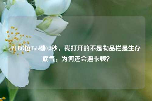 PUBG按Tab键0.3秒,我打开的不是物品栏是生存底气,为何还会遇卡顿?