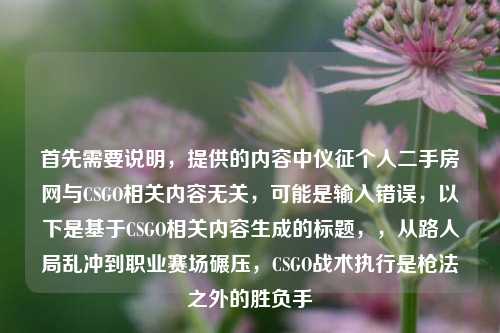 首先需要说明,提供的内容中仪征个人二手房网与CSGO相关内容无关,可能是输入错误,以下是基于CSGO相关内容生成的标题,,从路人局乱冲到职业赛场碾压,CSGO战术执行是枪法之外的胜负手