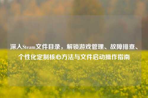 深入Steam文件目录，解锁游戏管理、故障排查、个性化定制核心方法与文件启动操作指南