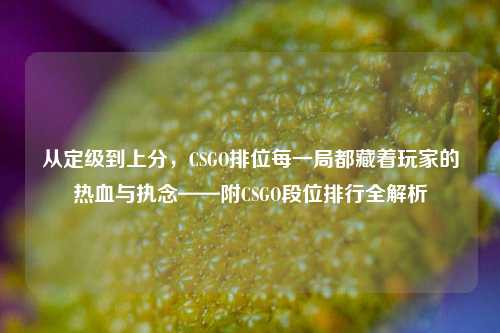 从定级到上分,CSGO排位每一局都藏着玩家的热血与执念——附CSGO段位排行全解析