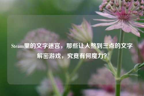 Steam里的文字迷宫，那些让人熬到三点的文字解密游戏，究竟有何魔力？