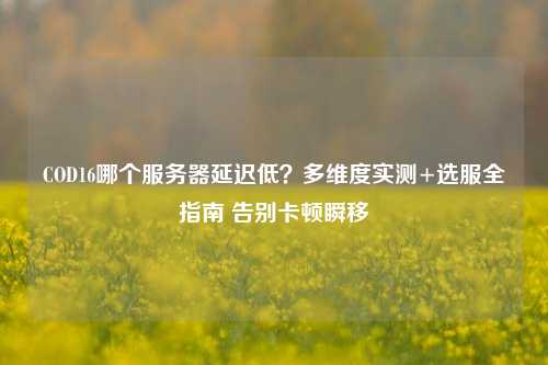 COD16哪个服务器延迟低?多维度实测+选服全指南 告别卡顿瞬移