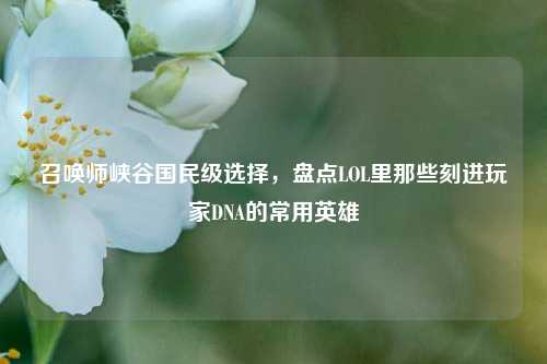 召唤师峡谷国民级选择，盘点LOL里那些刻进玩家DNA的常用英雄