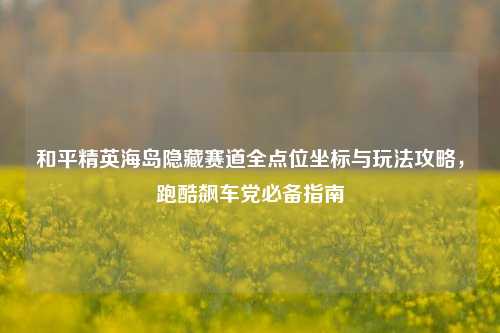 和平精英海岛隐藏赛道全点位坐标与玩法攻略，跑酷飙车党必备指南