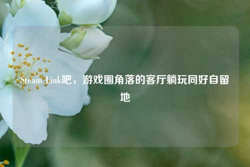 Steam Link吧，游戏圈角落的客厅躺玩同好自留地