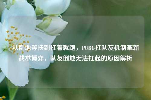从倒地等扶到扛着就跑,PUBG扛队友机制革新战术博弈,队友倒地无法扛起的原因解析