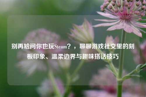 别再尬问你也玩Steam?,聊聊游戏社交里的刻板印象、温柔边界与趣味搭话技巧
