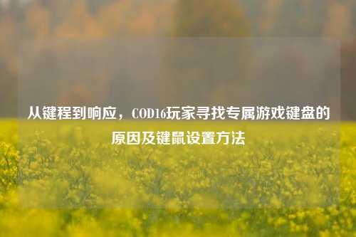从键程到响应，COD16玩家寻找专属游戏键盘的原因及键鼠设置方法