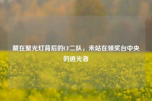 藏在聚光灯背后的CF二队，未站在领奖台中央的追光者