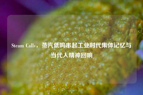 Steam Calls，蒸汽低鸣串起工业时代集体记忆与当代人精神回响