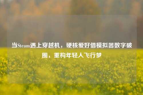 当Steam遇上穿越机,硬核爱好借模拟器数字破圈,重构年轻人飞行梦
