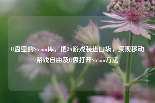 U盘里的Steam库,把3A游戏装进口袋,实现移动游戏自由及U盘打开Steam方法