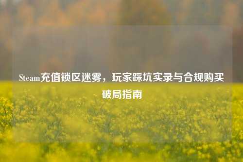 Steam充值锁区迷雾，玩家踩坑实录与合规购买破局指南
