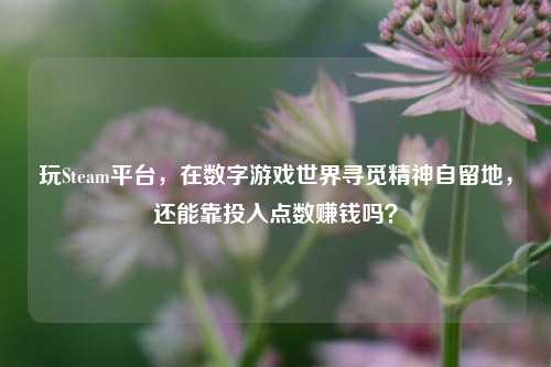 玩Steam平台，在数字游戏世界寻觅精神自留地，还能靠投入点数赚钱吗？