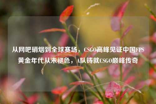 从网吧硝烟到全球赛场，CSGO高峰见证中国FPS黄金年代从未褪色，A队铸就CSGO巅峰传奇