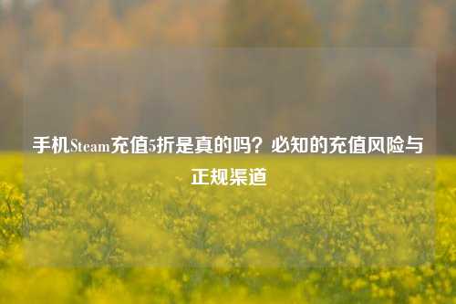 手机Steam充值5折是真的吗?必知的充值风险与正规渠道