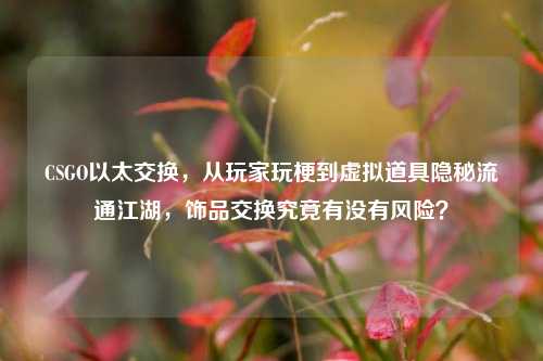 CSGO以太交换，从玩家玩梗到虚拟道具隐秘流通江湖，饰品交换究竟有没有风险？