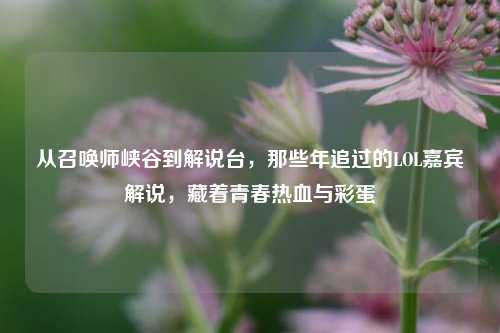 从召唤师峡谷到解说台，那些年追过的LOL嘉宾解说，藏着青春热血与彩蛋