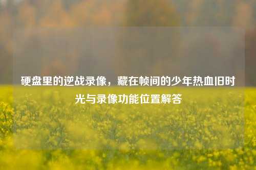 硬盘里的逆战录像,藏在帧间的少年热血旧时光与录像功能位置解答