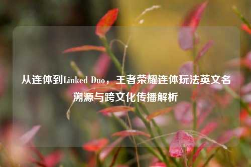 从连体到Linked Duo,王者荣耀连体玩法英文名溯源与跨文化传播解析
