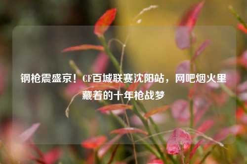 钢枪震盛京!CF百城联赛沈阳站,网吧烟火里藏着的十年枪战梦