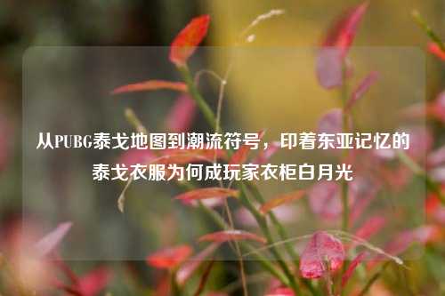 从PUBG泰戈地图到潮流符号，印着东亚记忆的泰戈衣服为何成玩家衣柜白月光