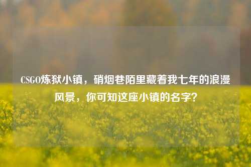 CSGO炼狱小镇,硝烟巷陌里藏着我七年的浪漫风景,你可知这座小镇的名字?