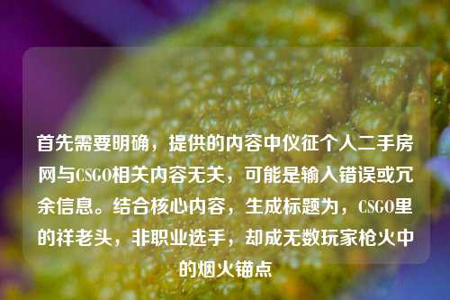 首先需要明确,提供的内容中仪征个人二手房网与CSGO相关内容无关,可能是输入错误或冗余信息。结合核心内容,生成标题为,CSGO里的祥老头,非职业选手,却成无数玩家枪火中的烟火锚点