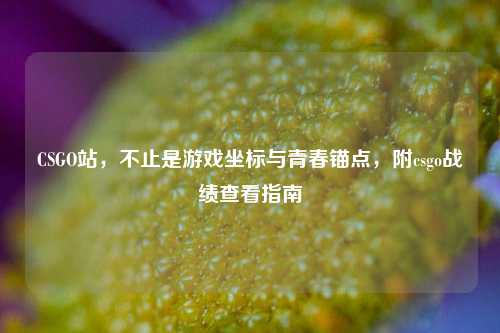 CSGO站，不止是游戏坐标与青春锚点，附csgo战绩查看指南