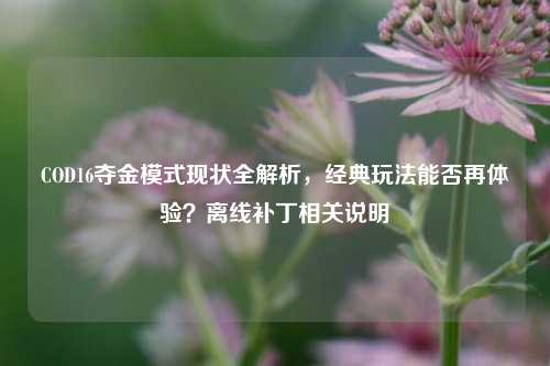 COD16夺金模式现状全解析,经典玩法能否再体验?离线补丁相关说明