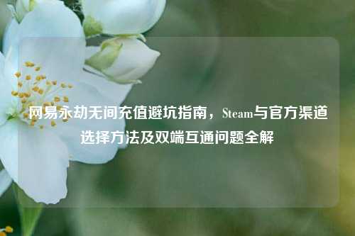 网易永劫无间充值避坑指南,Steam与官方渠道选择方法及双端互通问题全解