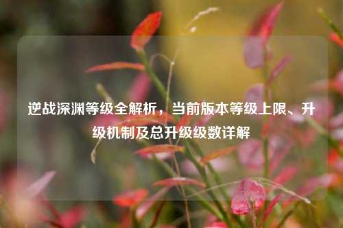 逆战深渊等级全解析，当前版本等级上限、升级机制及总升级级数详解