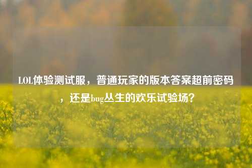 LOL体验测试服，普通玩家的版本答案超前密码，还是bug丛生的欢乐试验场？