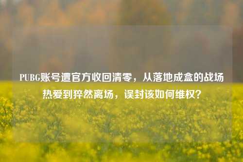 PUBG账号遭官方收回清零,从落地成盒的战场热爱到猝然离场,误封该如何维权?