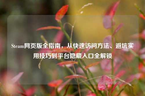 Steam网页版全指南,从快速访问方法、避坑实用技巧到平台隐藏入口全解锁