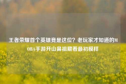 王者荣耀首个英雄竟是这位？老玩家才知道的MOBA手游开山鼻祖藏着最初模样