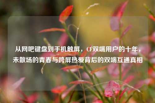 从网吧键盘到手机触屏,CF双端用户的十年,未散场的青春与跨屏热爱背后的双端互通真相