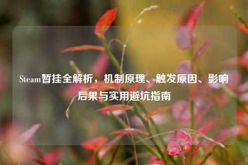 Steam暂挂全解析,机制原理、触发原因、影响后果与实用避坑指南