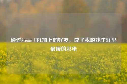 通过Steam URL加上的好友,成了我游戏生涯里最暖的彩蛋